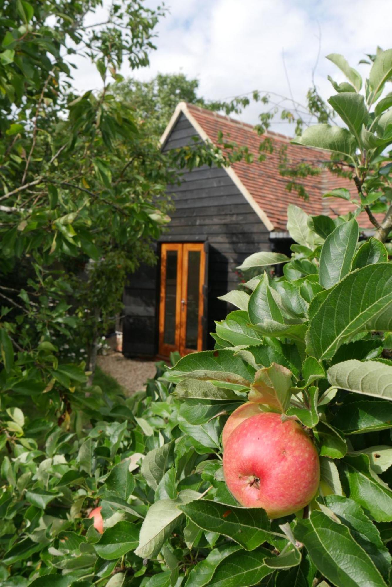 Villa The Little Orchard à Watlington  Extérieur photo